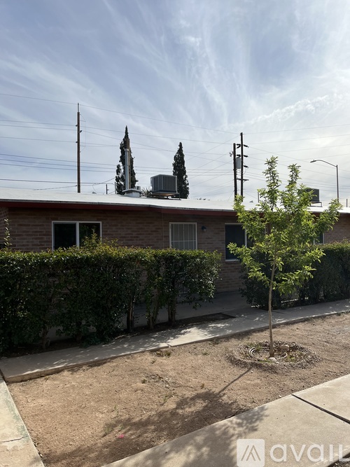 A tree in a yard in front of a house.