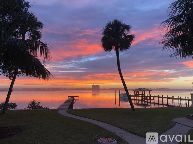 A beautiful sunset view with palm trees and a dock.