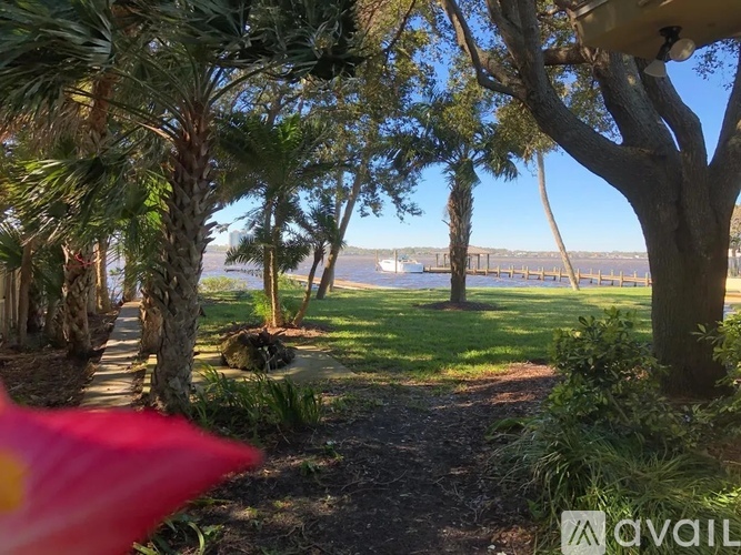 A pathway with trees and a body of water in the distance.