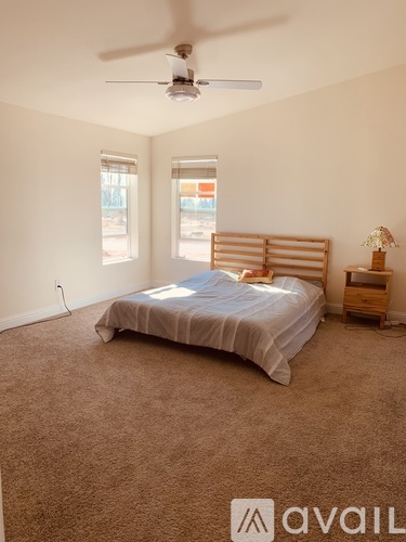 A bedroom with a bed, a ceiling fan, and a nightstand with a lamp.