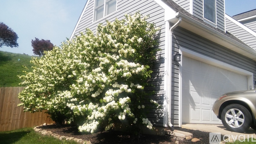 1200 King Edwards Way 4 Beds Single Family Home for Rent - Photo gallery 2