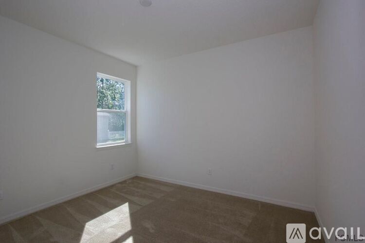 A room with a window and a carpeted floor.