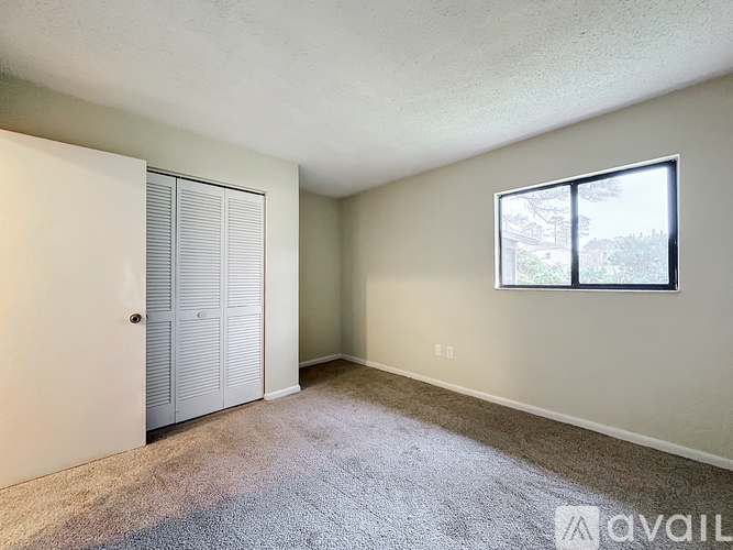 A room with a carpeted floor, a white door, and a window with a view of trees outside.