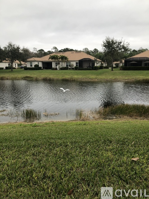 A bird is flying over a calm body of water.