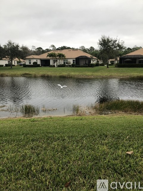 A bird is flying over a calm body of water.