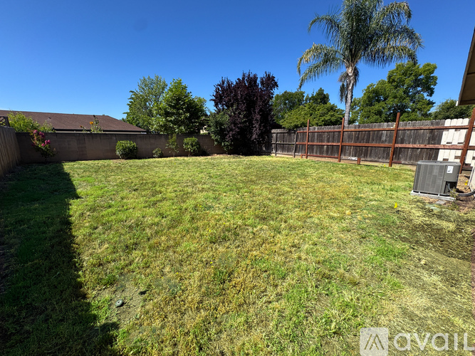 A backyard with a fence, trees, and a shed.
