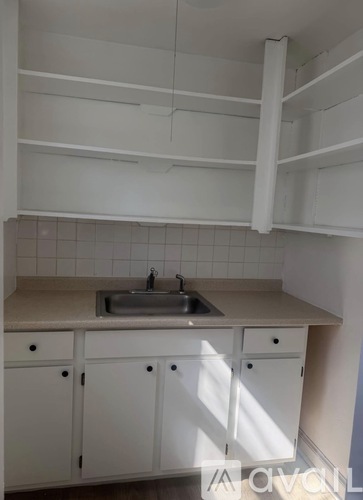 A white kitchen with a sink and cabinets.