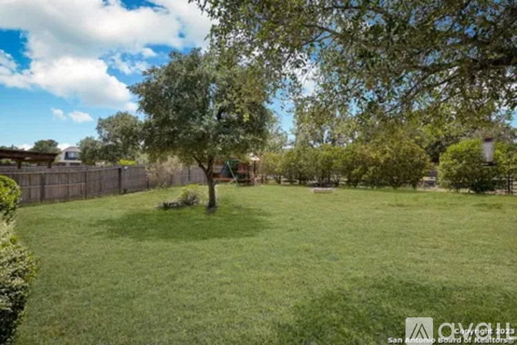 A tree stands in a grassy yard.