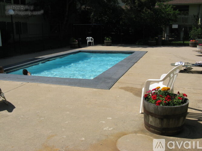A person is swimming in a pool with a chair and a planter nearby.