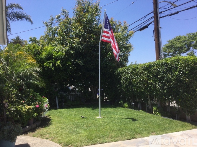 An American flag flies in front of a green hedge and trees.