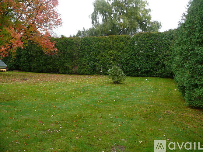 A backyard with a green lawn and trees.