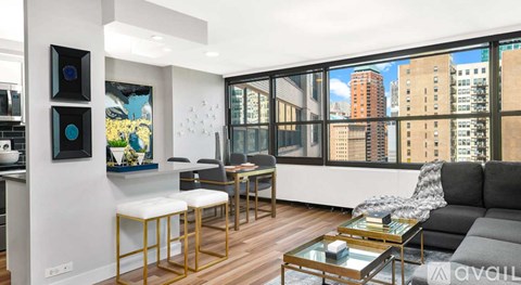 1100 S Michigan Ave 1 Apartment for Rent