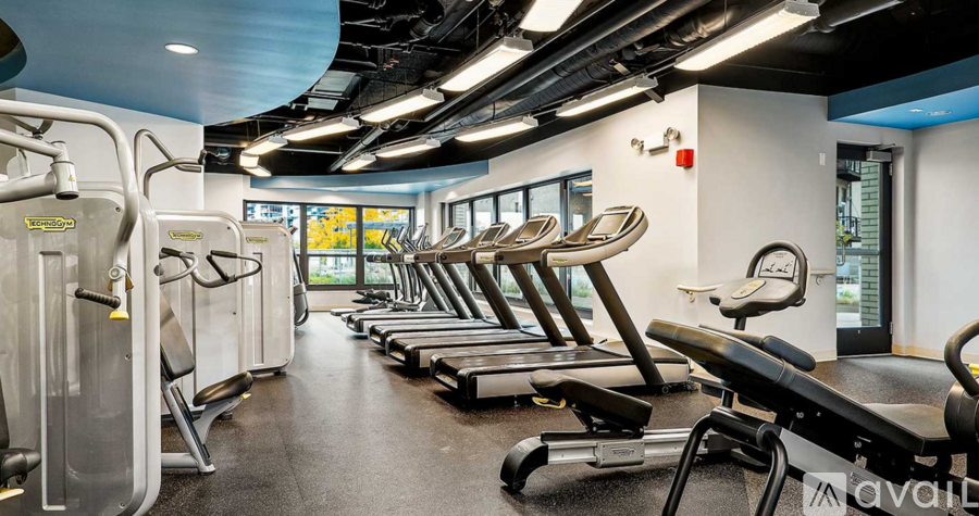 A gym with treadmills and elliptical machines.