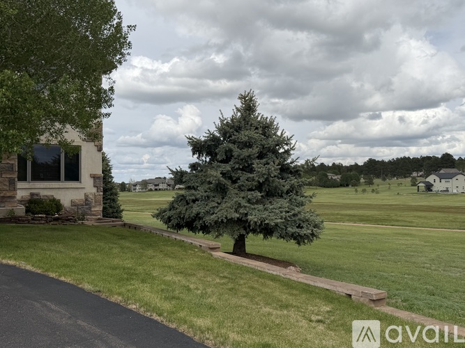 A tree stands in a grassy field next to a house.