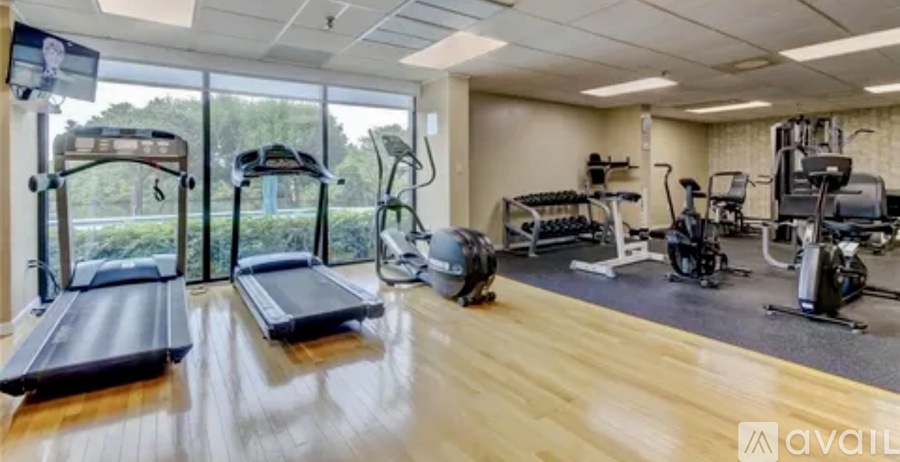 A gym with treadmills, exercise bikes, and other equipment.
