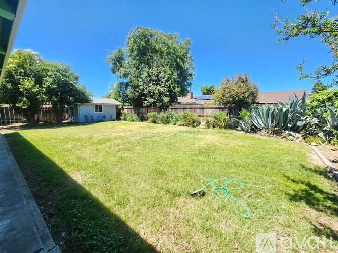 A backyard with a white house, green grass, and trees.