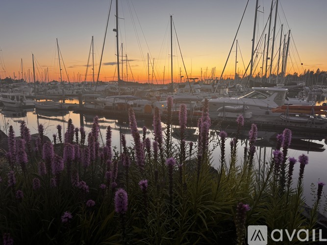 A marina at sunset with boats docked and purple flowers in the foreground.