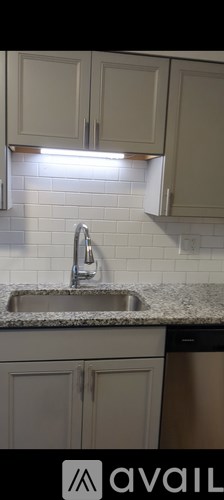 A kitchen with a sink and cabinets.