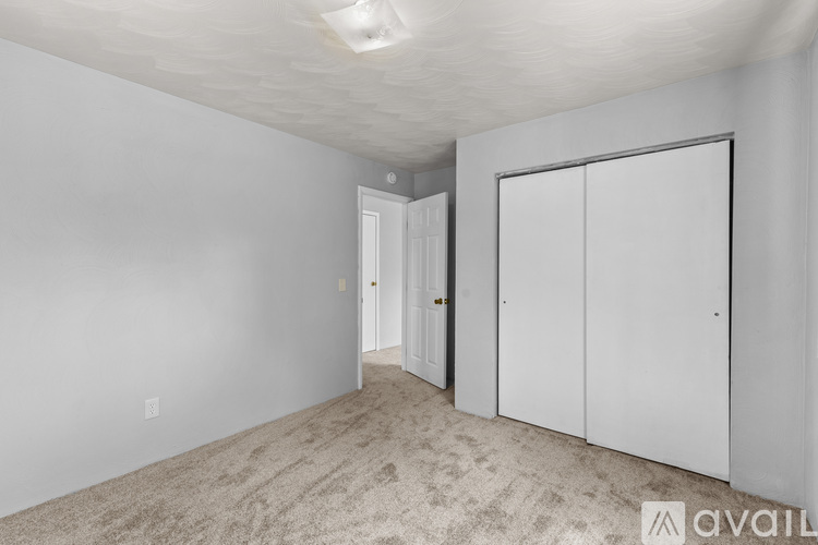 A room with a carpeted floor, a ceiling light, and a window with a view of trees outside.