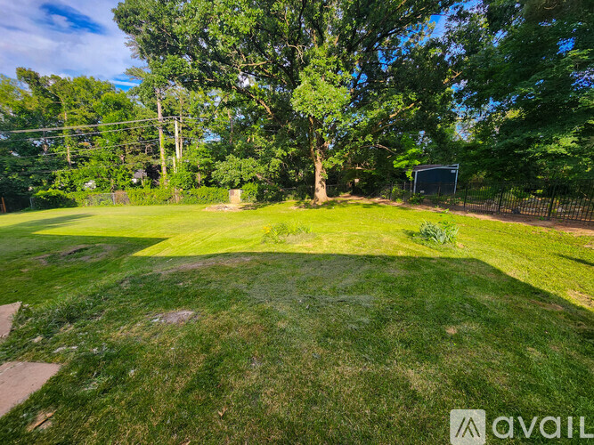 A backyard with a well-maintained lawn and trees.