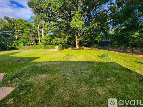 A backyard with a well-maintained lawn and trees.
