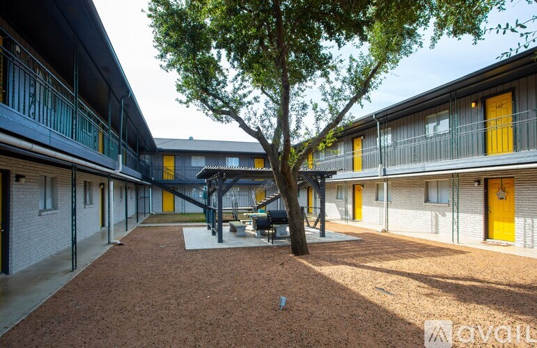 A tree in a courtyard surrounded by buildings with yellow doors.