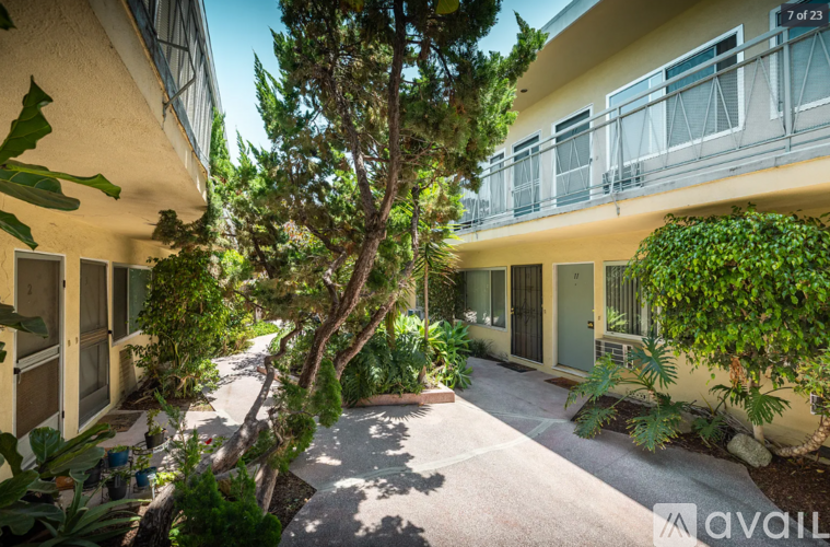 A sunny day at the courtyard of a building with a tree in the center.
