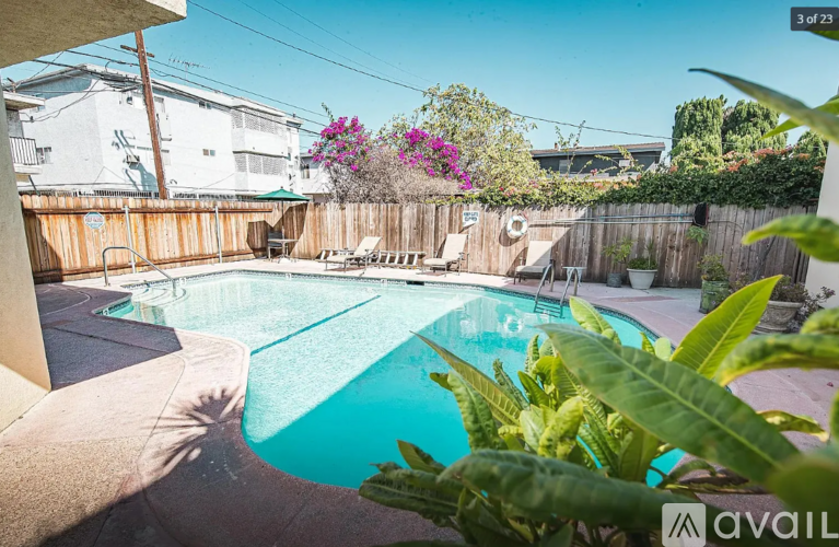 A pool surrounded by green plants and a wooden fence.