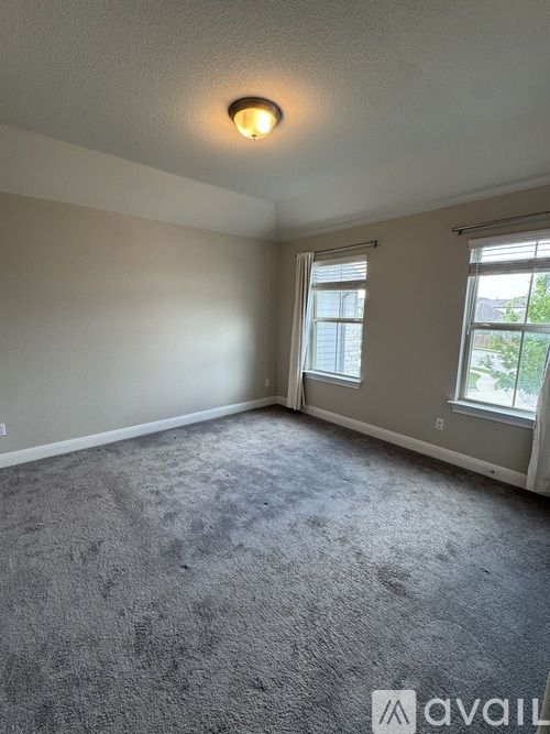 A carpeted room with a window and a light on the ceiling.