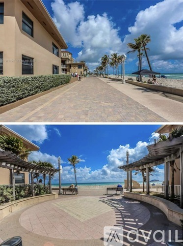 A beachfront promenade with a clear sky and palm trees.