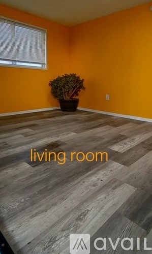 A living room with a wooden floor and a plant in a pot.
