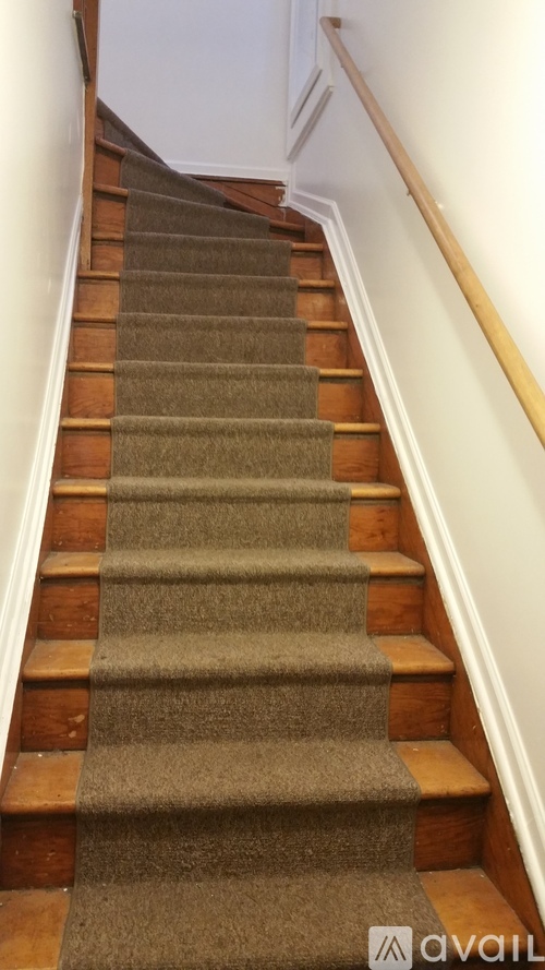 A staircase with a carpeted runner and wooden steps.