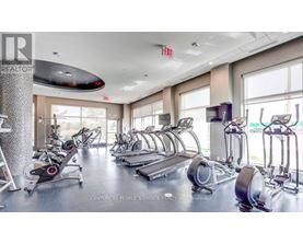 A gym with treadmills and elliptical machines.