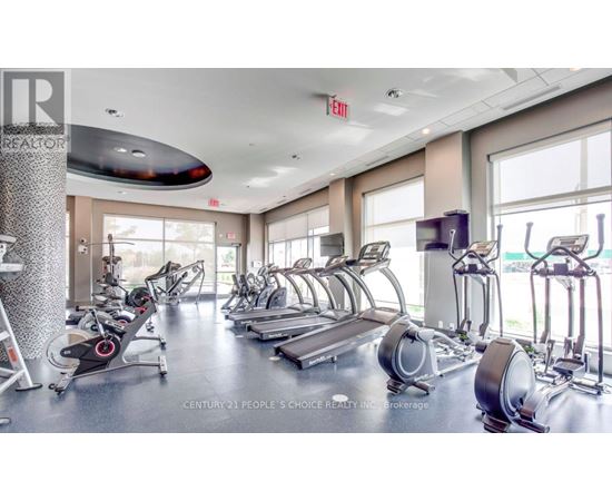A gym with treadmills and elliptical machines.