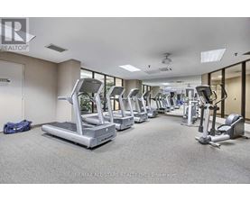 A gym with treadmills and exercise equipment.