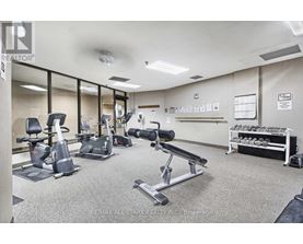 A gym with a variety of equipment including treadmills, stationary bikes, and weight racks.