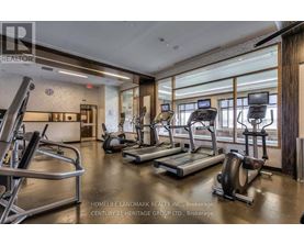 A gym with treadmills, exercise bikes and other equipment.