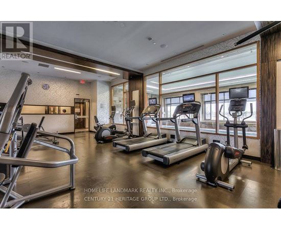 A gym with treadmills, exercise bikes and other equipment.