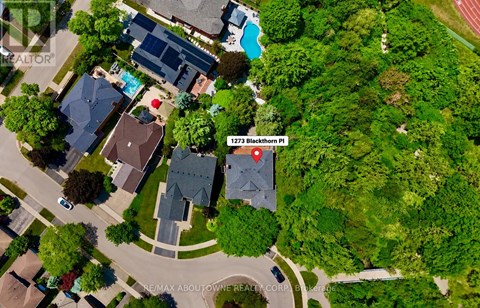 A bird's eye view of a residential area with a sign reading "1273 Blackthorn Pl.".