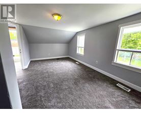 A room with grey carpeting and a window showing greenery outside.