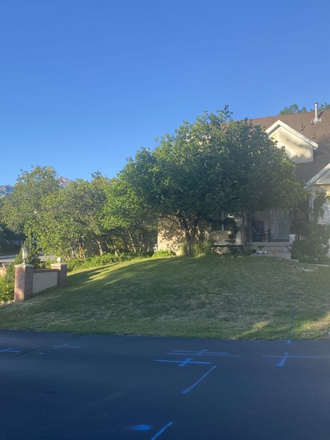 11713 Shady Oak Ln 6 Beds Apartment for Rent