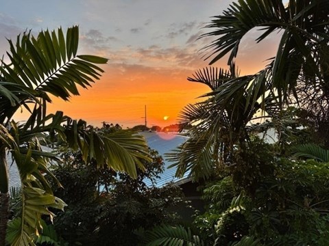 A sunset view with palm leaves in the foreground.