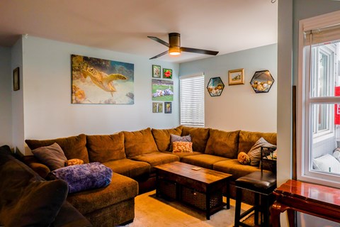 A living room with a brown couch and a painting of a yellow bird on the wall.