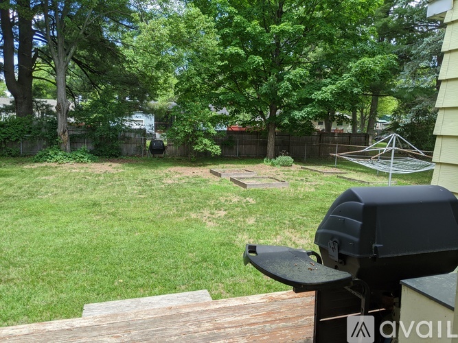 A backyard with a grill and trees.