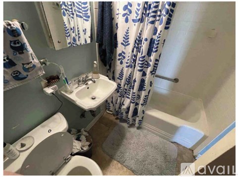 A bathroom with a toilet, sink, and shower curtain.