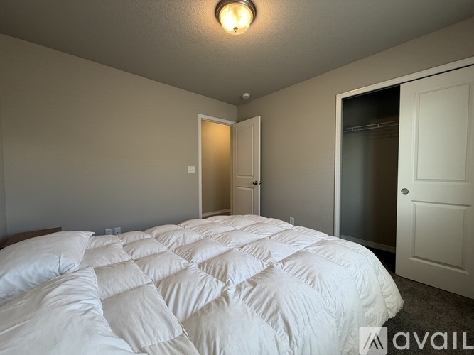A bedroom with a large bed and a white door.