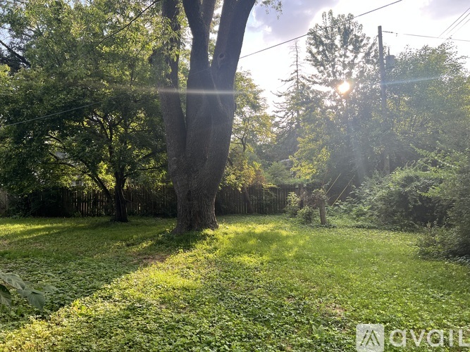 A sunny day in a lush green garden with trees and grass.