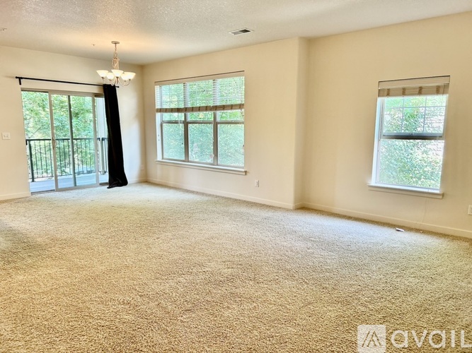A spacious room with carpeted floor, two windows, and a sliding glass door.