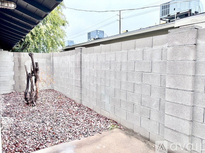 A tree is planted in a bed of small rocks in front of a concrete wall.