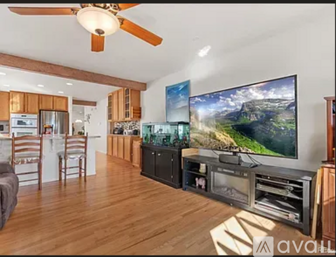 A living room with a television and a fan.